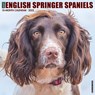 Just English Springer Spaniels 2022 Wall Calendar (Dog Breed) -  - 9781549217876