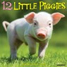 12 Little Piggies 2025 12 X 12 Wall Calendar -  - 9781549241161
