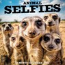 Animal Selfies 2025 12 X 12 Wall Calendar -  - 9781549247163