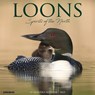 Loons 2026 12 X 12 Wall Calendar - Willow Creek Press - 9781549251832