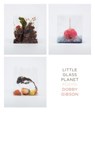 Little Glass Planet: Poems - Dobby Gibson - 9781555978426