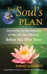 Your Soul's Plan - Robert Schwartz - 9781556439520