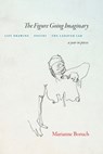 The Figure Going Imaginary - Marianne Boruch - 9781556596940