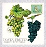 Posta Frutta - Postcard Book -  - 9781556709975