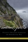 Ancient Paths - David Robinson - 9781557257734