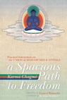 A Spacious Path to Freedom - Karma Chagme - 9781559393409