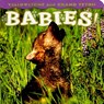Yellowstone and Grand Teton Babies! - Wendy Shattil - 9781560374978