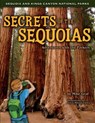 Secrets of the Sequoias: Adventures with the Parkers - Mike Graf - 9781560376569