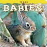 Texas Babies! - Steph Lehmann - 9781560376811