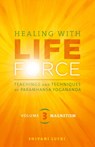 Healing with Life Force, Volume Three-Magnetism - Shivani Lucki - 9781565890497