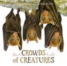 Crowds of Creatures - Kate Riggs - 9781568463018