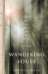 Wandering Souls - Wayne Karlin - 9781568586106