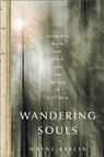 Wandering Souls - Wayne Karlin - 9781568587424