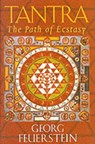 Tantra - Georg Feuerstein - 9781570623042