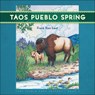 Taos Pueblo Spring - The Taos Pueblo Tiwa Language Program - 9781570674143