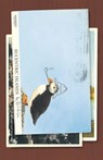Eccentric Islands: Travels Real and Imaginary - Bill Holm - 9781571312594