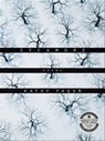 Sycamore - Kathy Fagan - 9781571319296