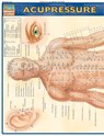 Acupressure - Vincent Perez - 9781572228399