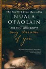 My Dream of You - Nuala O'Faolain - 9781573229081