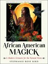 African American Magic - Stephanie Rose (Stephanie Rose Bird) Bird - 9781578637843