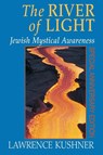 The River of Light - Lawrence Kushner - 9781580230964