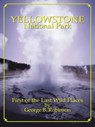 Yellowstone National Park: First Of The Last Wild Places - George Robinson - 9781580711029