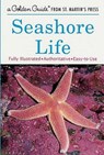 Seashore Life - Lester Ingle ; Herbert S. Zim - 9781582381497