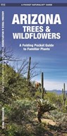 Arizona Trees & Wildflowers: A Folding Pocket Guide to Familiar Plants - James Kavanagh - 9781583551882