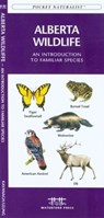 Ontario Birds: A Folding Pocket Guide to Familiar Species - James Kavanagh - 9781583552827