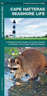 Cape Hatteras Seashore Life: A Folding Pocket Guide to Familiar Plants & Animals in the Cape Hatteras Region - James Kavanagh - 9781583553589