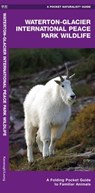 Waterton-Glacier International Peace Park Wildlife: A Folding Pocket Guide to Familiar Animals - James Kavanagh - 9781583553596