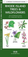 Rhode Island Trees & Wildflowers: A Folding Pocket Guide to Familiar Plants - James Kavanagh - 9781583555163