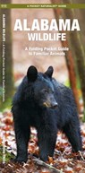 Alabama Wildlife: A Folding Pocket Guide to Familiar Animals - James Kavanagh - 9781583556719