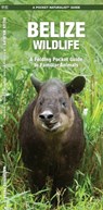 Belize Wildlife: A Folding Pocket Guide to Familiar Animals - James Kavanagh - 9781583558676