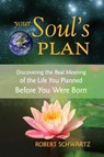 Your Soul's Plan - Robert Schwartz - 9781583942727