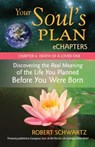 Your Soul's Plan eChapters - Chapter 6: Death of a Loved One - Robert Schwartz - 9781583946473