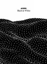 Juxtapoz Black & White - PRICCO,  Evan - 9781584236825