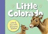 Little Colorado - Denise Brennan-Nelson - 9781585365302