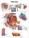 The Eye Anatomical Chart -  - 9781587791277