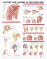 Anatomy and Injuries of the Shoulder Anatomical Chart -  - 9781587798078