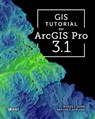 GIS Tutorial for ArcGIS Pro 3.1 - Wilpen L. Gorr ; Kristen S. Kurland - 9781589487390