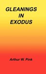 Gleanings in Exodus - Arthur W Pink - 9781589603127