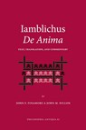 Iamblichus De Anima -  - 9781589834682