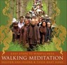 Walking Meditation - Nguyen Anh-Huong ; Thich Nhat Hanh - 9781591798828