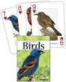 Birds of the Southwest -  - 9781591933618