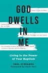 God Dwells in Me - Joel Stepanek - 9781593255909