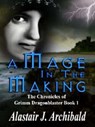 A Mage In The Making - Alastair Archibald - 9781593748463