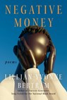 Negative Money - Lillian-Yvonne Bertram - 9781593767549