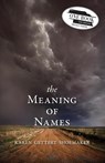 The Meaning of Names - Karen Shoemaker - 9781597099592
