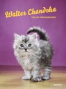 Walter Chandoha: The Cat Photographer - Walter Chandoha - 9781597114530